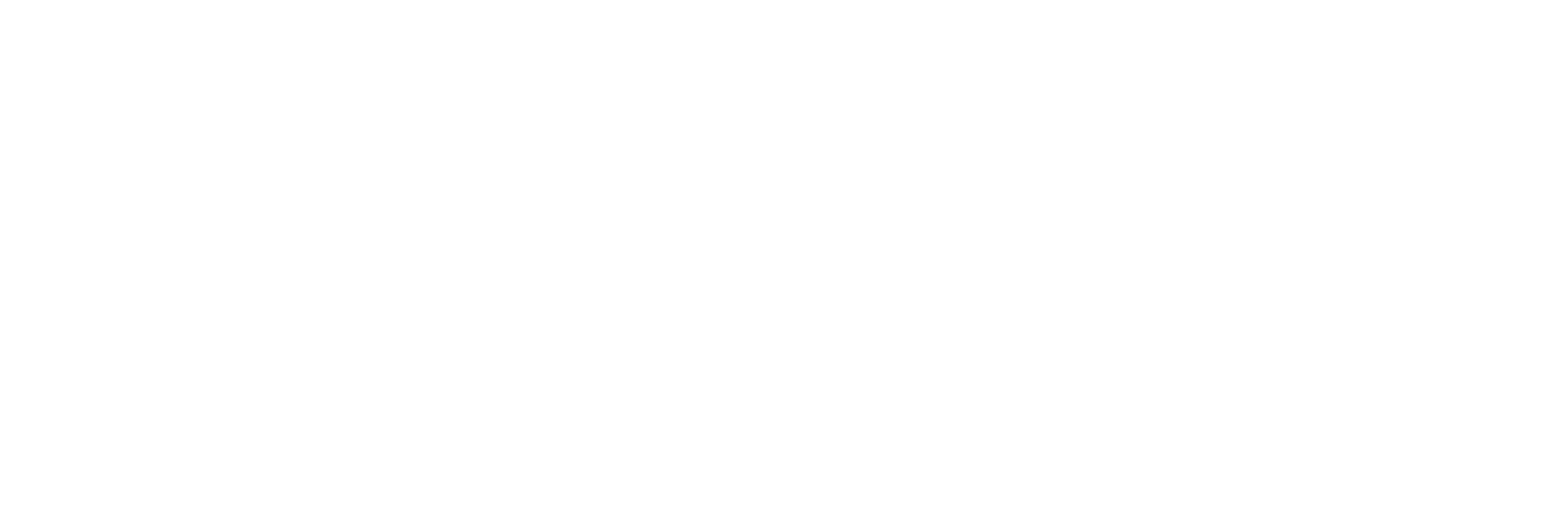 Packesel Umzüge